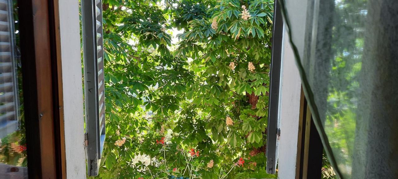Agriturismo Villino Bellavista Spoleto Zewnętrze zdjęcie